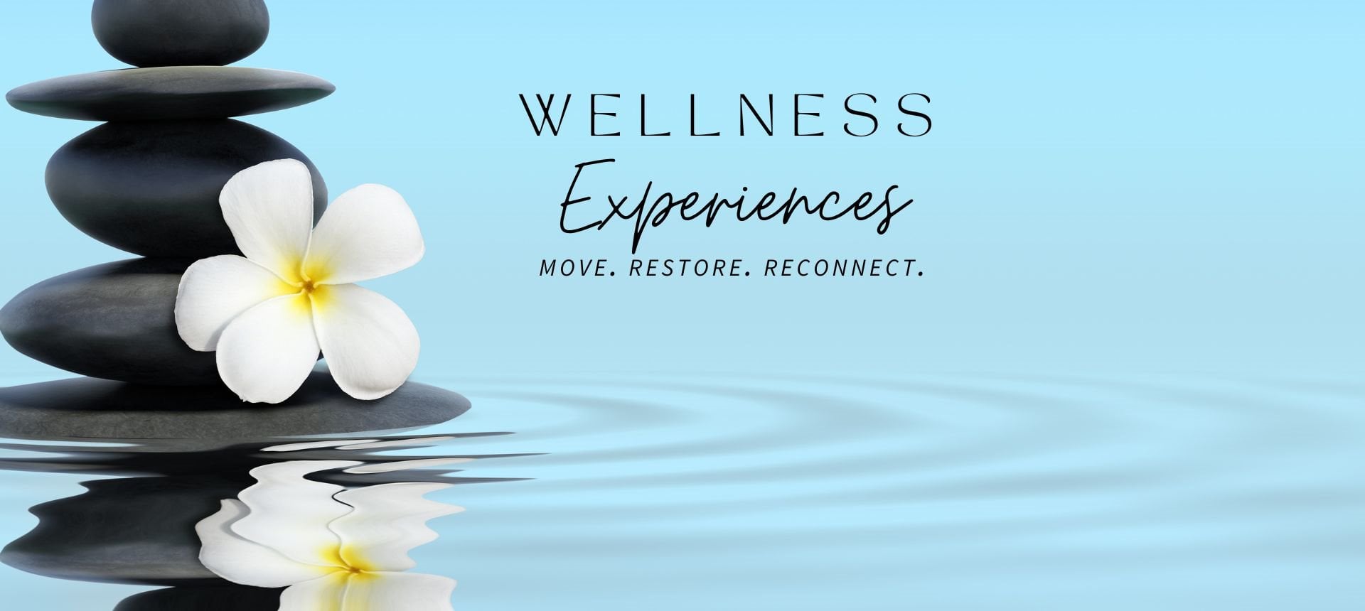 Wellness